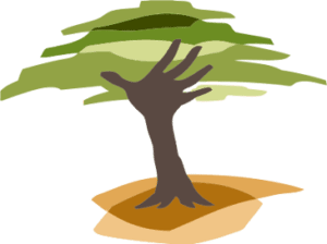 Eden Reforestation Projects logo