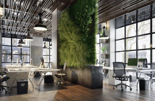 Inside a modern office workspace, with a tall plant in the center.